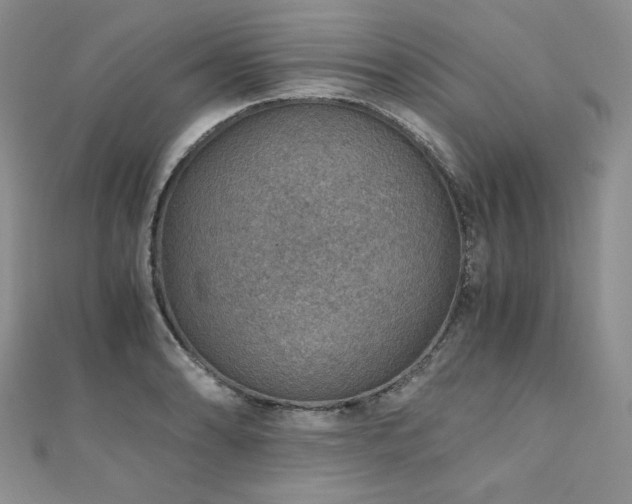 X0000110891086200906181241