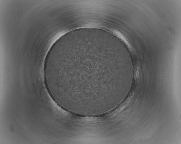 X0000110891087200906181241