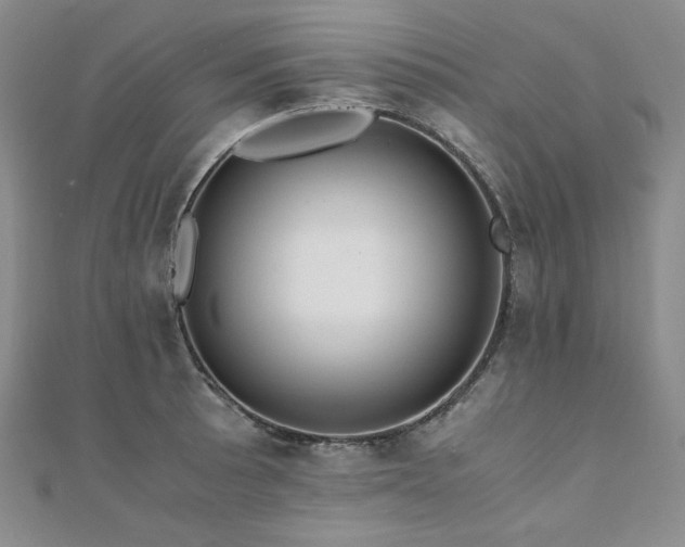 X0000110891089200906181241