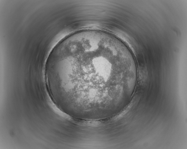 X0000110891090200906181241
