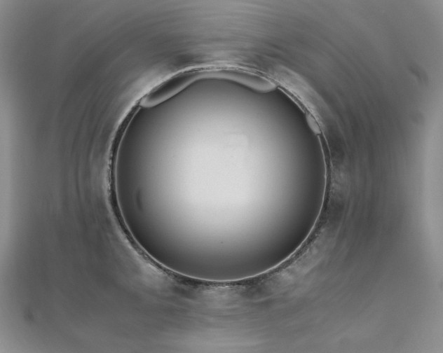 X0000110891093200906181241