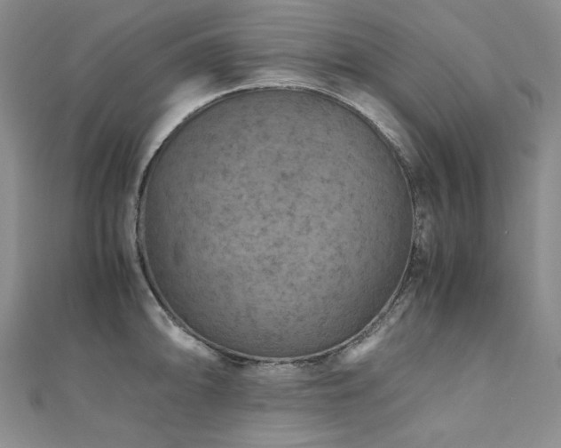 X0000110891094200906181241