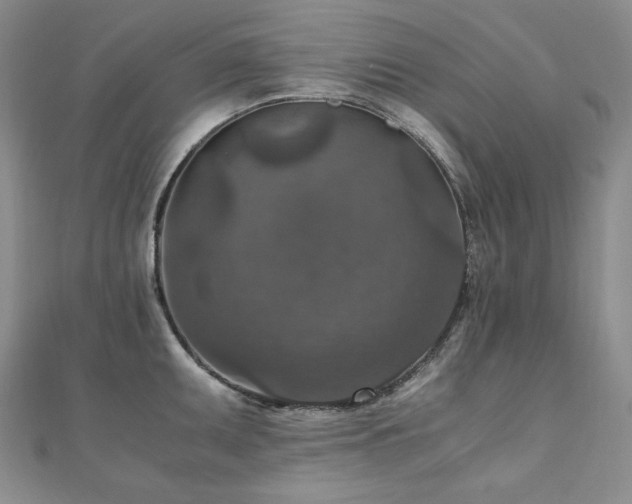 X0000110891095200906181241