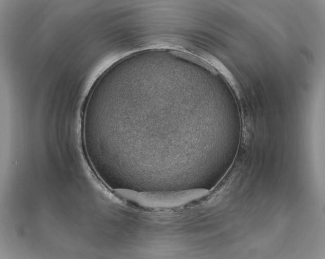 X0000110891096200906181241
