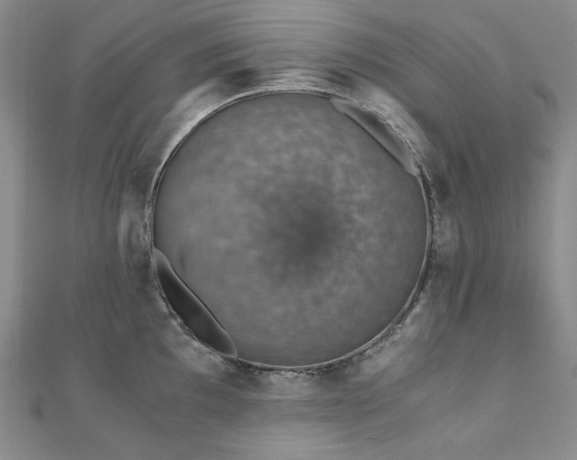 X0000110891097200906181241