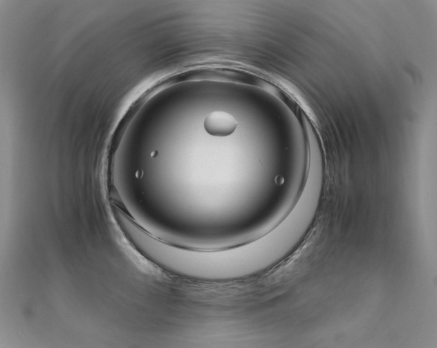 X0000110891098200906181241