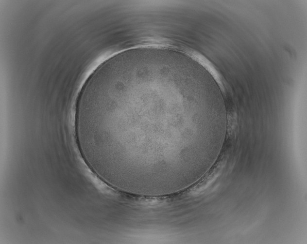 X0000110891099200906181241