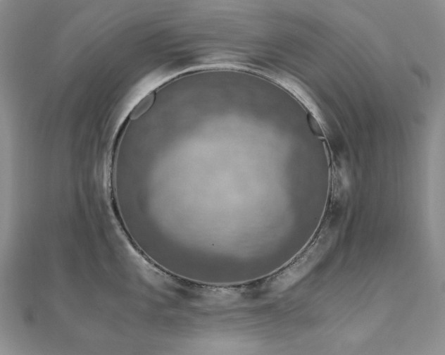 X0000110891101200906181240
