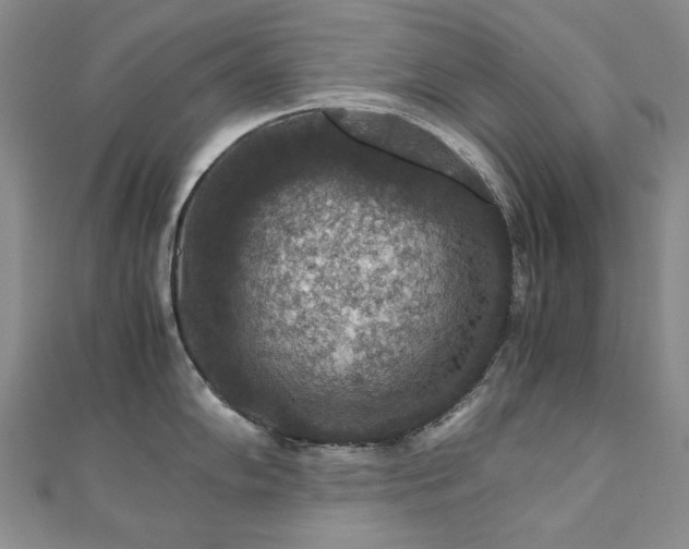 X0000110891102200906181240