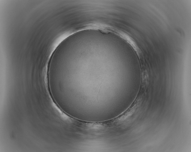 X0000110891103200906181240