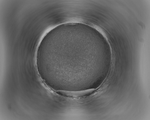 X0000110891104200906181240