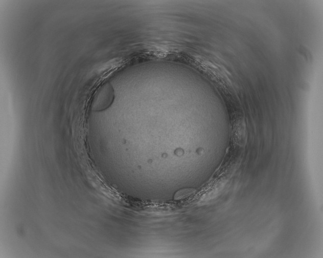 X0000110891105200906181240