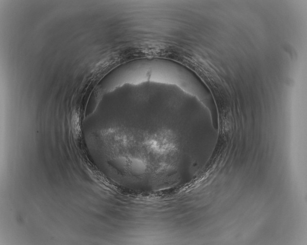 X0000110891106200906181240