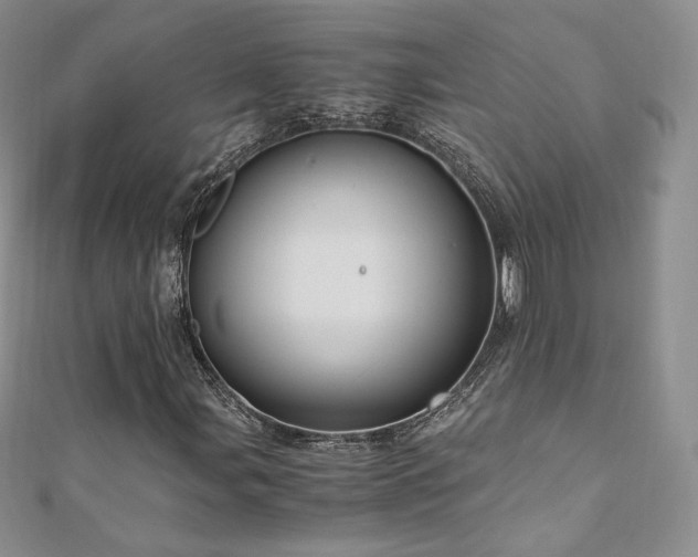 X0000110891107200906181240