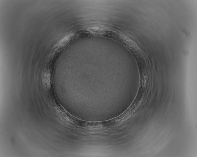 X0000110891108200906181240