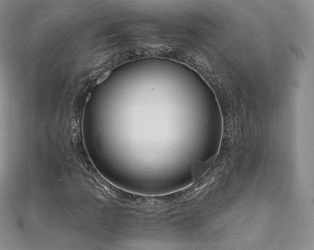 X0000110891109200906181240