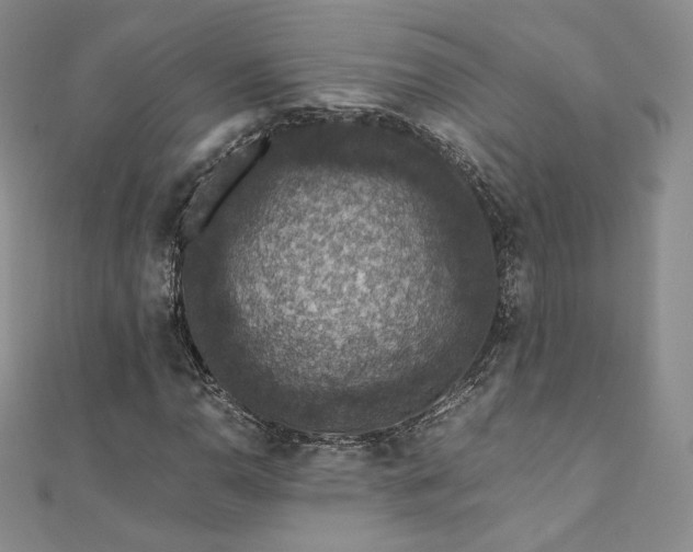 X0000110891110200906181240