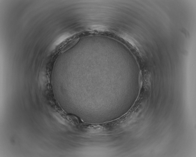 X0000110891112200906181240