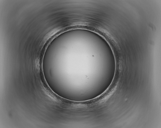 X0000110891113200906181240
