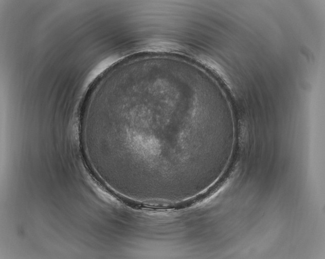 X0000110891114200906181240