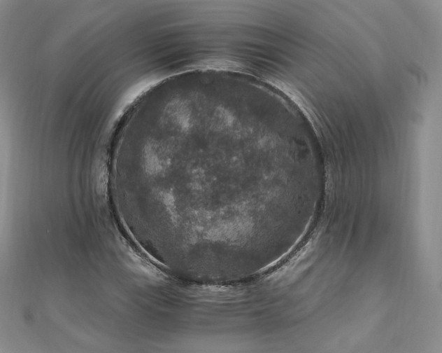 X0000110891115200906181240