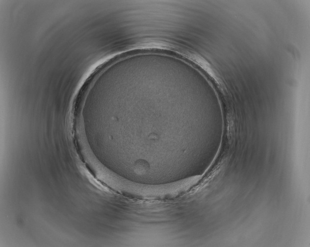 X0000110891116200906181240