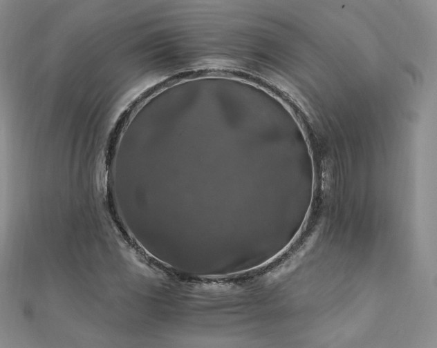 X0000110891117200906181240