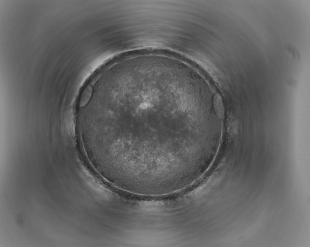 X0000110891118200906181240