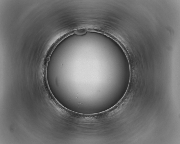 X0000110891119200906181240