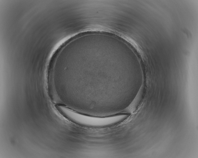 X0000110891120200906181240