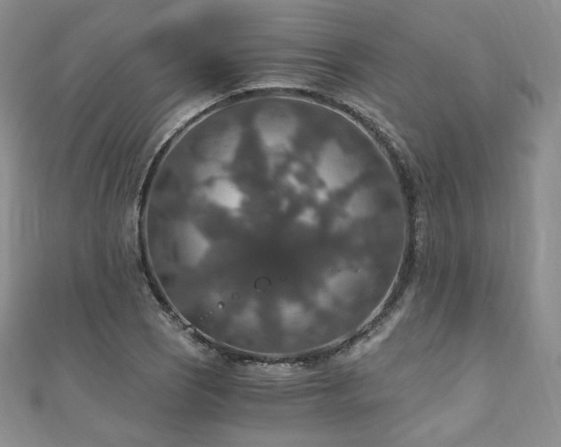 X0000110891121200906181240