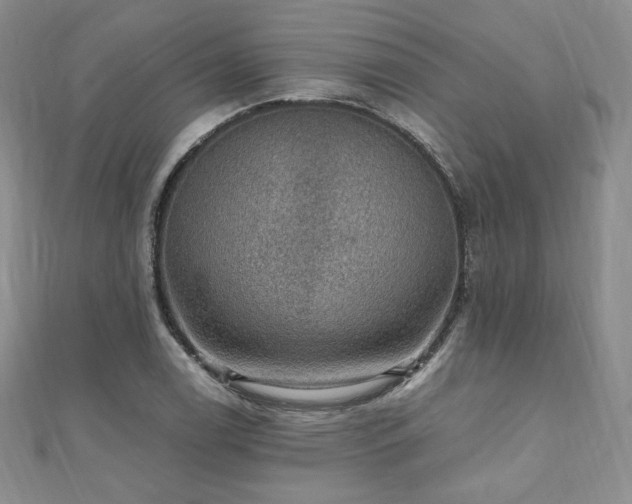 X0000110891122200906181240