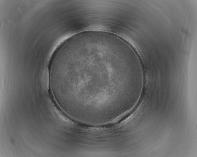 X0000110891123200906181240