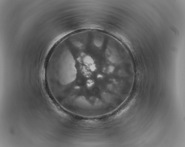 X0000110891125200906181240
