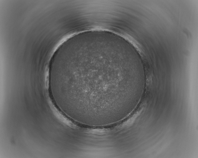 X0000110891126200906181240