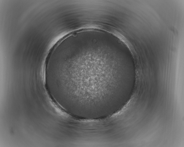 X0000110891127200906181240