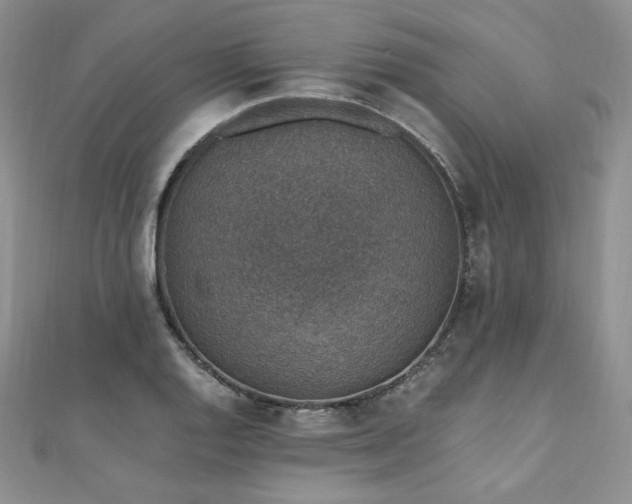 X0000110891128200906181240