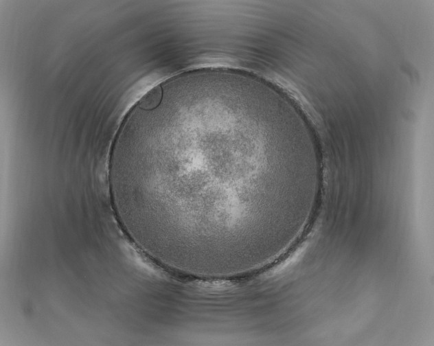 X0000110891129200906181240