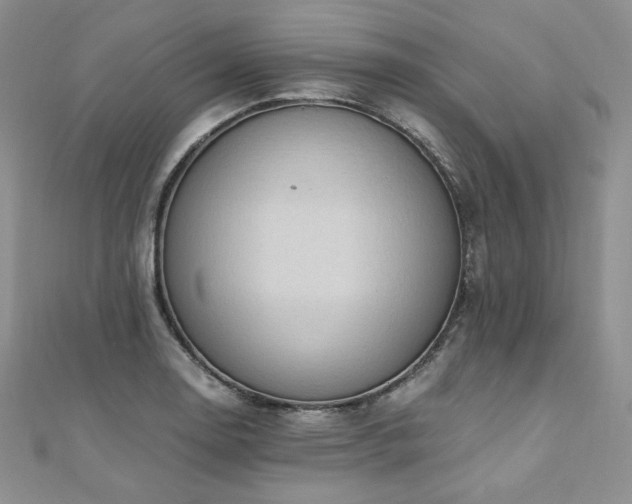 X0000110891130200906181240