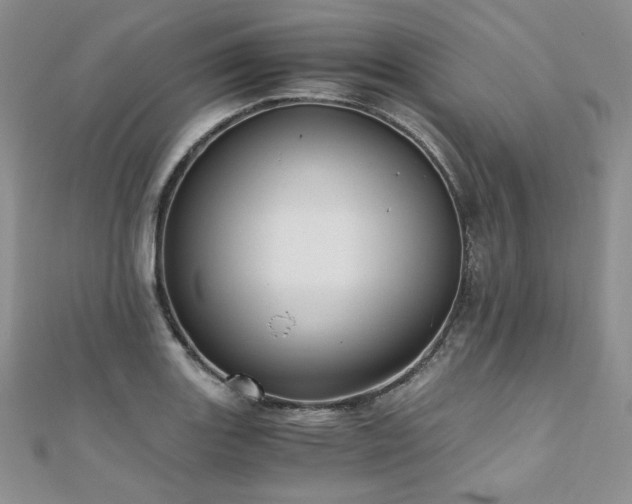 X0000110891131200906181240
