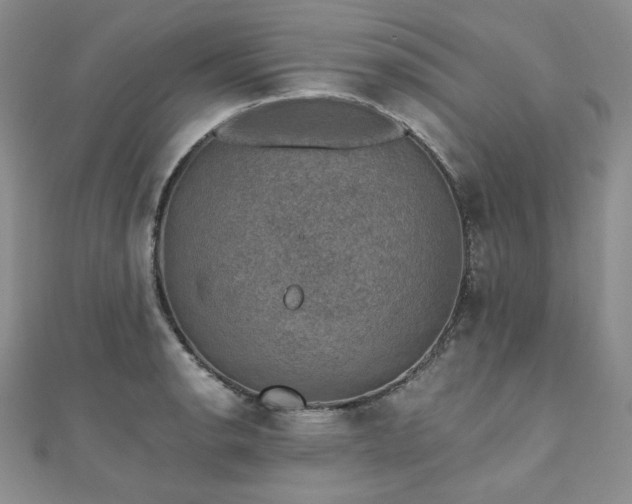 X0000110891134200906181240