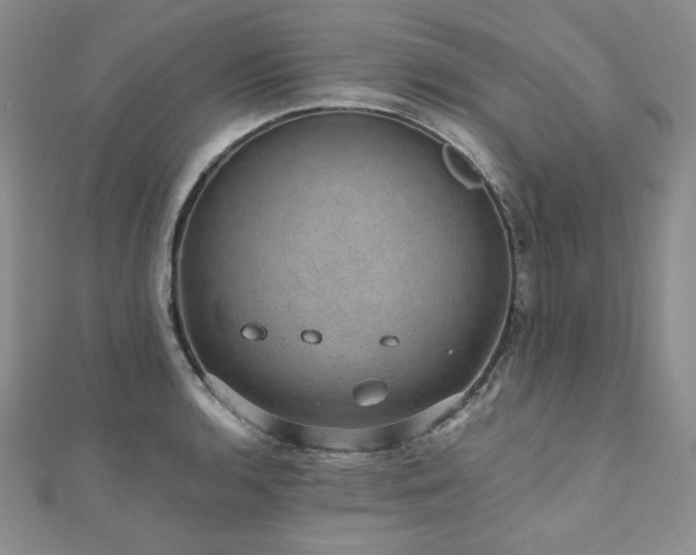 X0000110891136200906181240