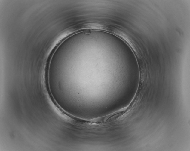 X0000110891139200906181240