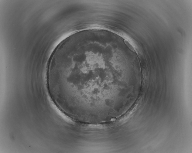 X0000110891142200906181240