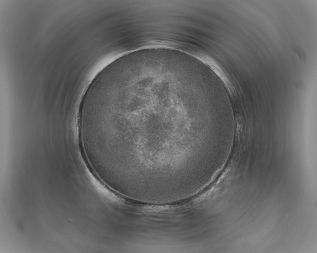 X0000110891143200906181240