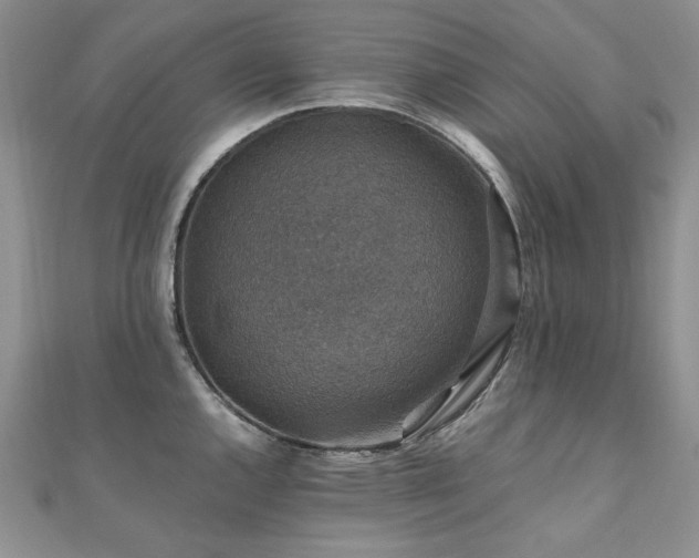 X0000110891144200906181240