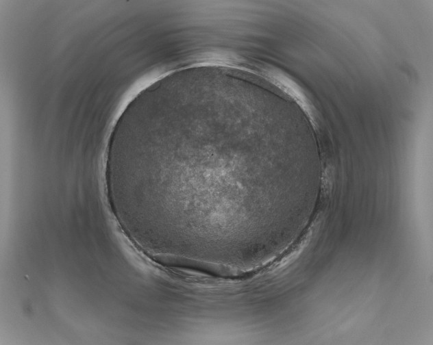 X0000110891146200906181240