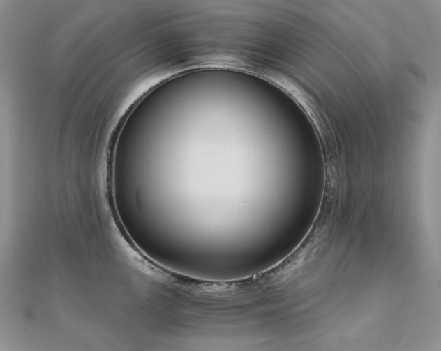 X0000110891147200906181240