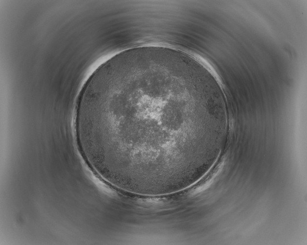 X0000110891149200906181240