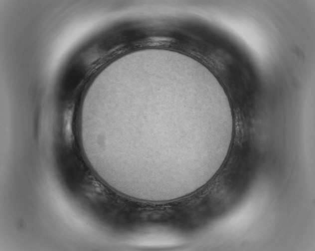 X0000110891150200906181240